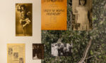 Zdjęcie wystawy „Prawobrzeżne”. Zdjęcia i wycinki z gazet przyczepione do ściany z fototapetą krzaków.